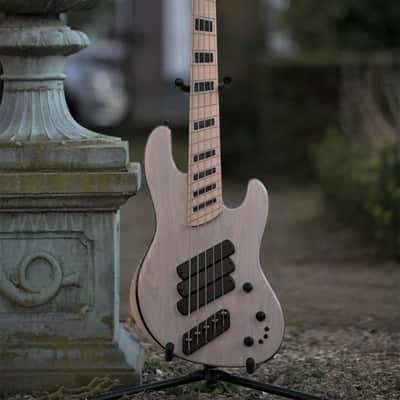 Dingwall Super J 5-string - Custom Order - Trans White Gloss image 12