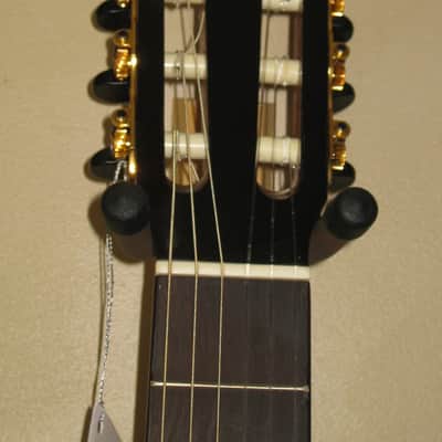 Giannini GWNEW 3 Exotic Series All Solid Wood Classical Guitar w/Hardshell Case image 5