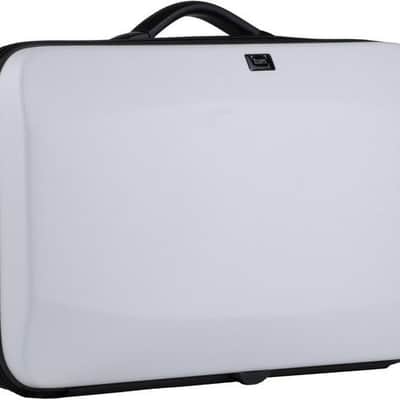 BAM Stage Single Trumpet Case - Black Piping image 2