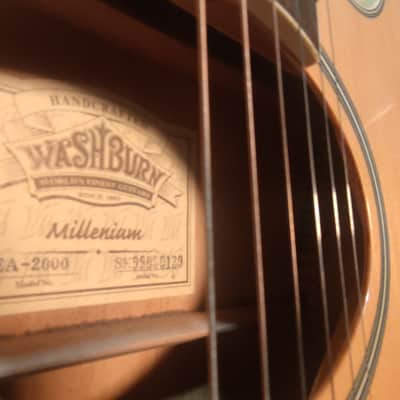 Washburn EA-2000 1999 - Natural image 11