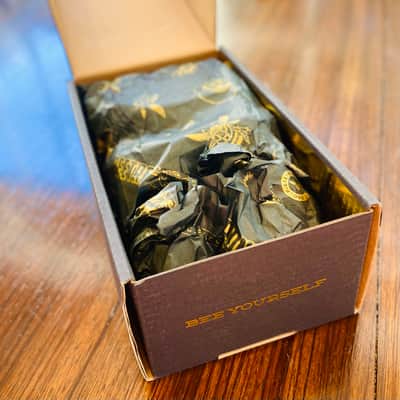 Beetronics Abelha Tropical Fuzz Custom Shop image 8