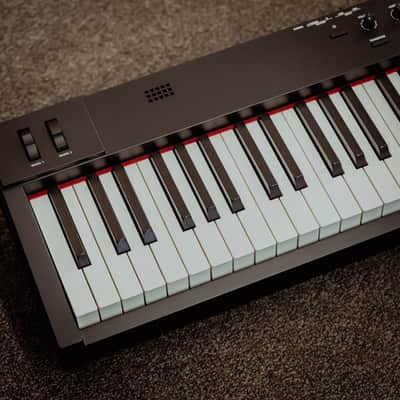Roland RD-08 88-Key Digital Stage Piano, Black image 4