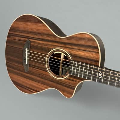Breedlove Limited Edition Premier Concertina CE Brazilian Rosewood 2023 - Natural image 4