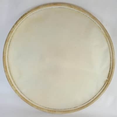 Gretsch 22"Broadkaster Calf Skin Bass Drum Head Professional Quality Vintage 50s image 4