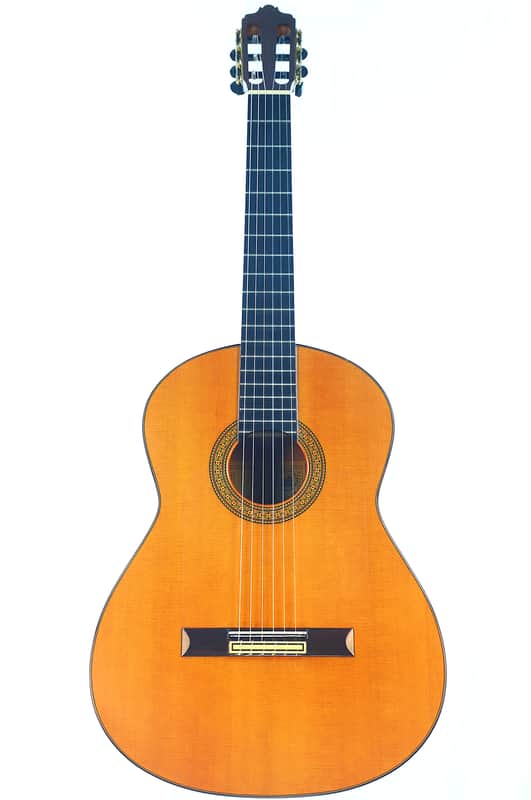 Jose Salinas flamenco guitar