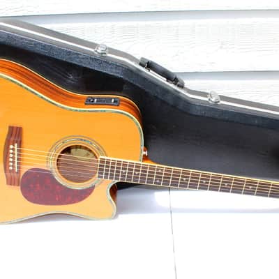 Zager Zad-80ce acoustic electric guitar cutaway w/ Zager Case image 13