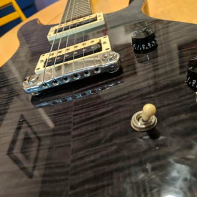 Paul Reed Smith Se Custom 22 2005 image 2