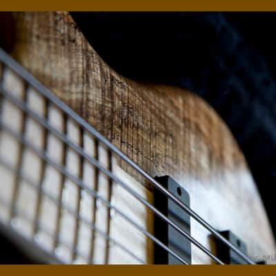Carvin Icon 2011 Spalted Maple Best Offer image 4
