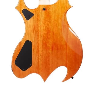 Wylde Audio Tortoise Shell Corridors Wrathmaker Guitar image 4