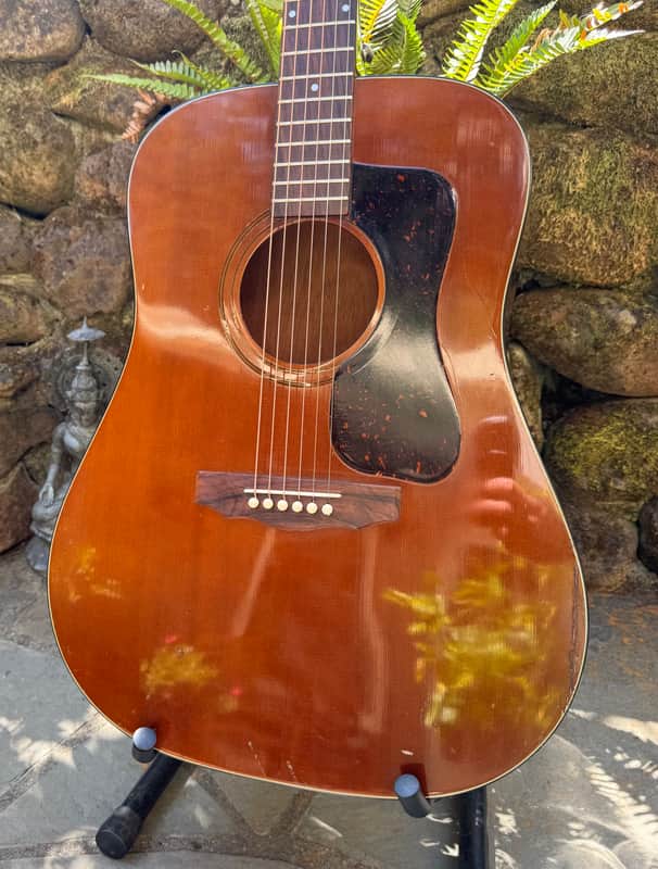 Guild D-25