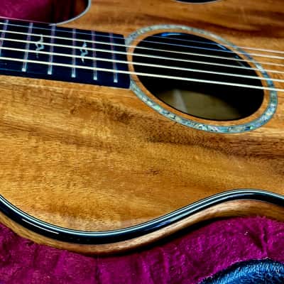 Taylor Spring Limited Edition 12-Fret Grand Concert Acoustic-Electric Guitar 2010 - Natural image 10