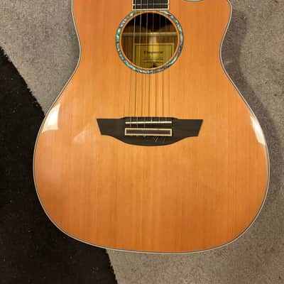 Orangewood Mason-Live 2021 - Laquer image 2