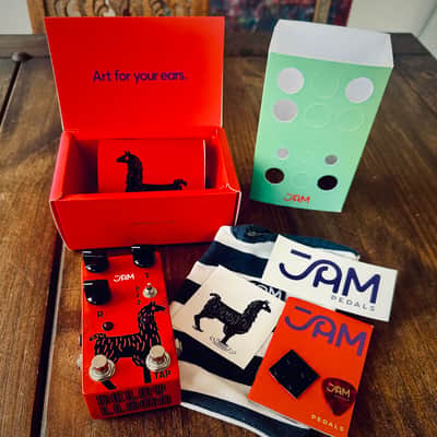 JAM Pedals Delay Llama imagen 9