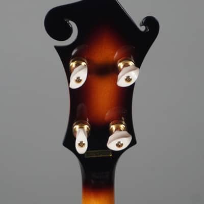 Gold Tone EBM-5 Electric Banjo image 6