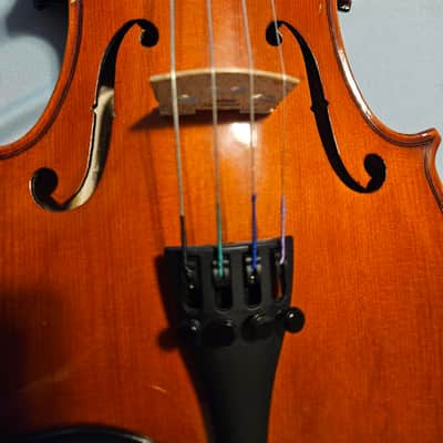 Franz Hoffmann Viola 13" inch outfit with case neck rest & bow image 5