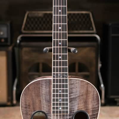 Beard Legacy-E HipShot DoubleShot Square Neck Resonator Guitar - Black Ice 2-Tone Custom Horse Chestnut with Hardshell Case image 4