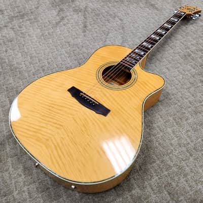 Mid 1990s Ibanez N800NT Slope-Shoulder Cutaway - Potential Prototype Unit w/ Hard Shell Case image 1