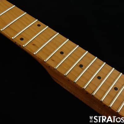 Eddie Van Halen EVH Wolfgang Standard NECK Compound Upgrades, Parts Baked Maple image 4