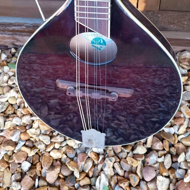 2000s Breedlove Crossover 00 Violin stain