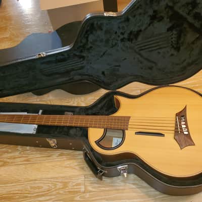 Warwick Alien Acoustic Bass 5 String  + bonus/Free ToneWood Amp for Acoustic Guitar + bonus/Free Taylor Precision Digital Hygrometer and Thermometer image 12