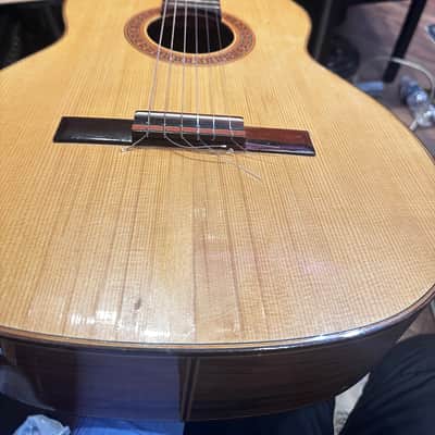 Vintage Giannini AWN71 Acoustic Guitar – Playable, Needs Restoration image 10