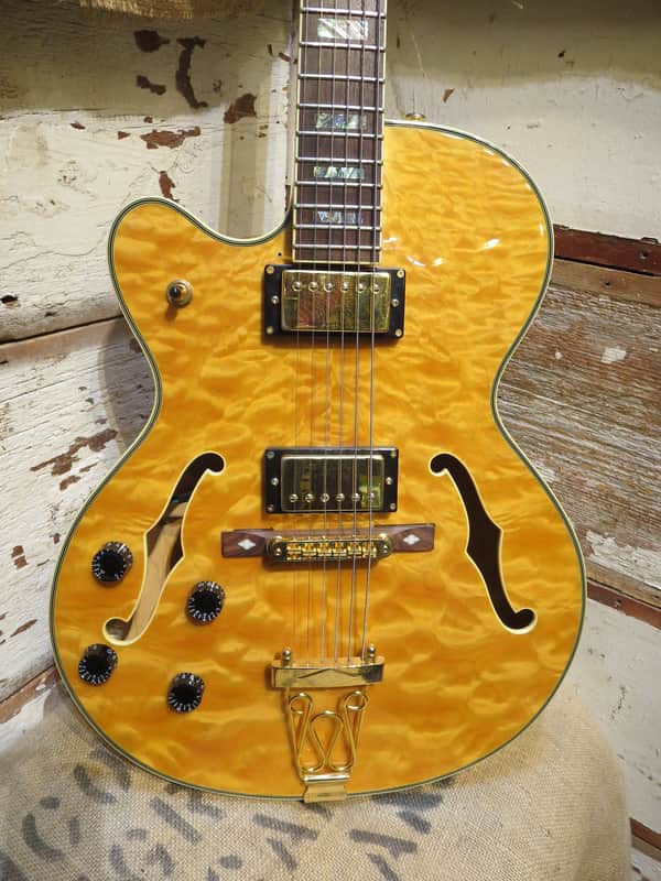 Schecter Jazz Elite Hollowbody Electric Guitar w/Hardshell Case! image 1