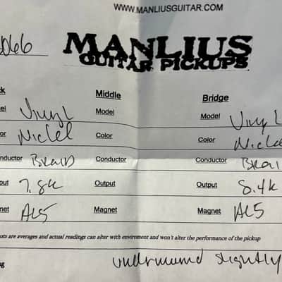 Manlius Vinyl T-Top 2026 - Aged Nickel - Alnico 5 - Neck - MINT image 4