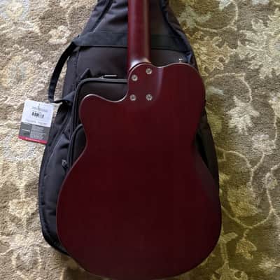 Sire Larry Carlton G5N Nylon-string Acoustic-Electric Guitar - Tobacco Sunburst image 9