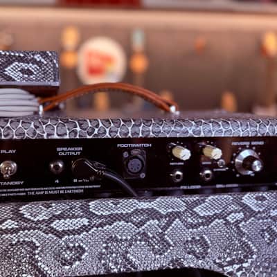 SL Amplification New Drive Reverb 50 Watts Combo 1x12” Custom Order (Tube Buffered fx loop) - Snake Skin Custom Tolex image 14