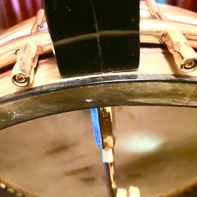 Gibson TB 5 Trapdoor Tenor Banjo Fully Restored image 20