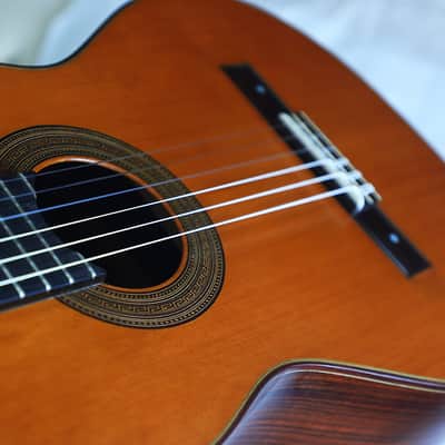 Eugenio Riba 2020 Classical Guitar "La Pluma" – A Masterful Copy of an Antonio de Torres Guitar - Check Video! image 16