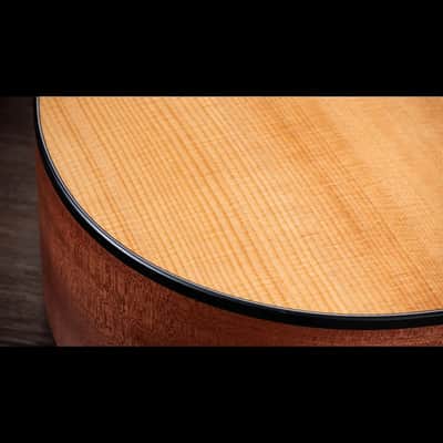 Taylor 150ce Bajo Quinto 10-String Acoustic Electric Guitar with Gig Bag image 5