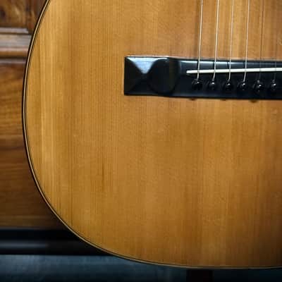 1870s Martin 2-20 Parlor Guitar, Adirondack Spruce & Brazilian RW **Neck Replaced** image 7
