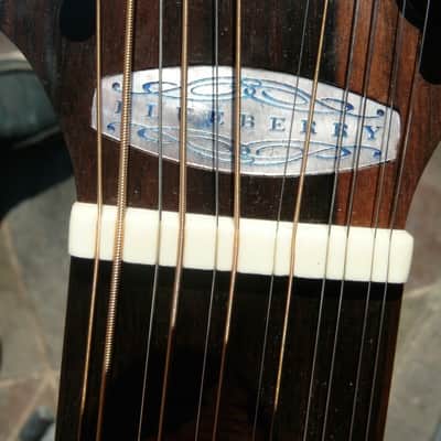 BLUEBERRY 12 String Cutaway   SATAN 2013 Natural image 13