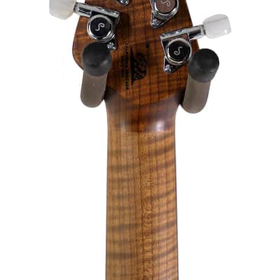 Brand New Ernie Ball Music Man St. Vincent - St. Vincent Blue image 5