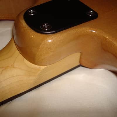 PRS SE CE24 - Blood Orange - PRS Gig Bag image 6
