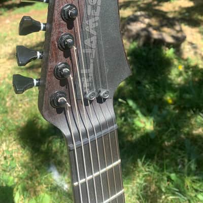 Custom R L James Guitar Custom Animal 2026 - Custom image 15
