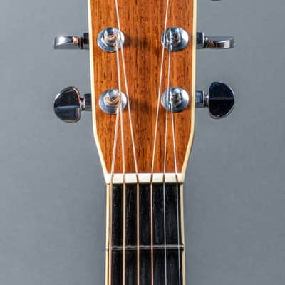 Gallagher G-70 1971, Natural image 7