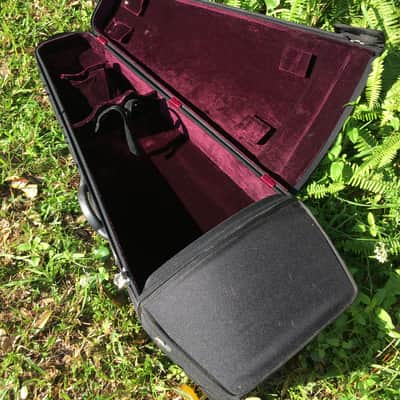 Tenor Violin (half-size cello tuned GDAE) image 24