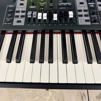 Roland V-STAGE 88 + BORSA image 4
