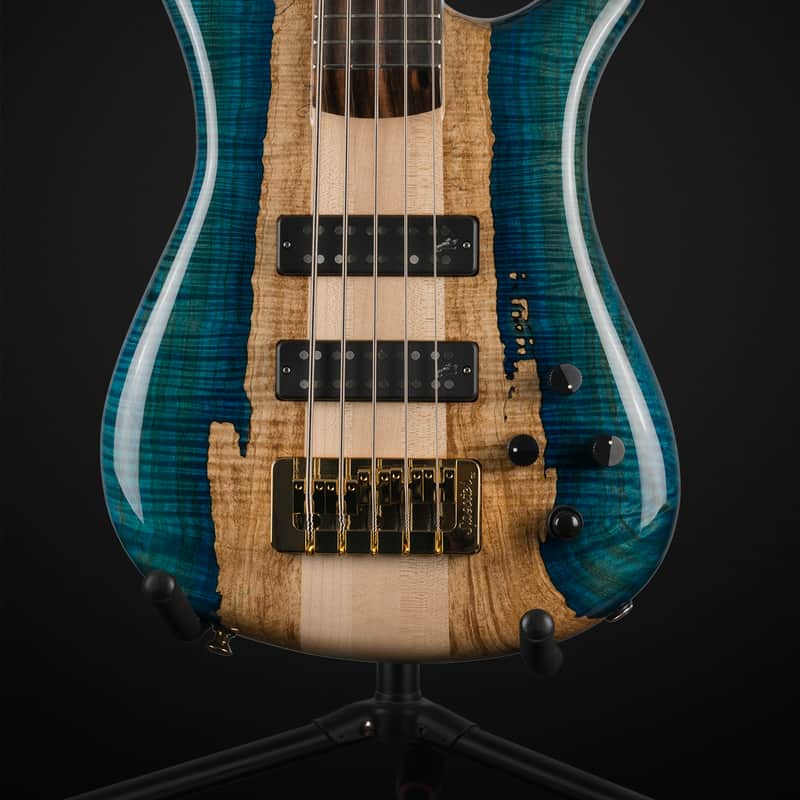 2021 Spector NS-5 Shoreline