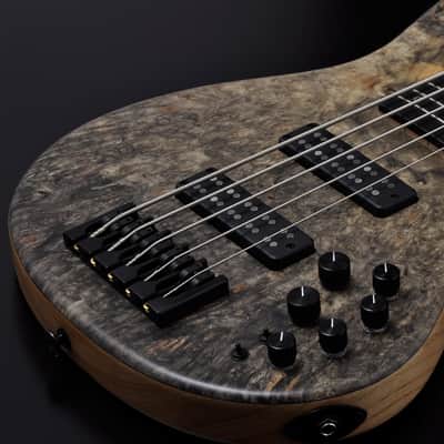 STR Bass #361 DLS549 (Authorized Dealer) Handmade in Japan Buckeye Nordstrand image 6