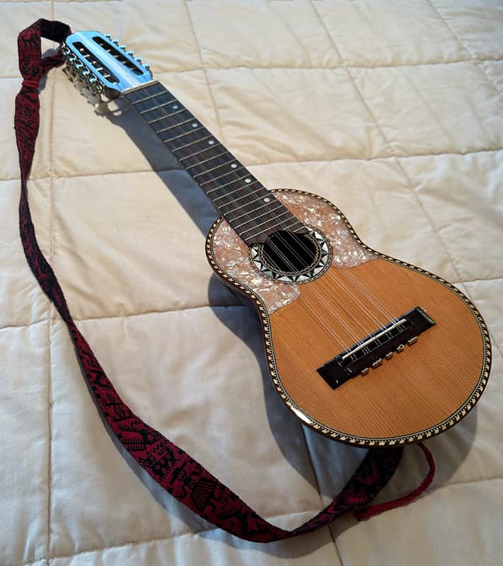 Luthier Gonzales Steel 12 String Ronroco / Charangon 2017 with 10 sets of strings image 1