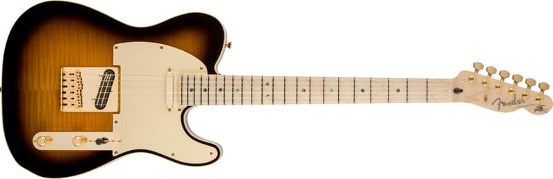 Fender Richie Kotzen Telecaster Maple FB Brown Sunburst