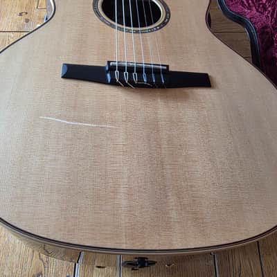Taylor 814ce-N Acoustic/Electric Nylon String Guitar image 3
