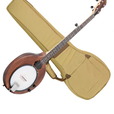GOLD TONE EB-5 Electric 5-string Banjo NEW W/ Gig Bag image 1