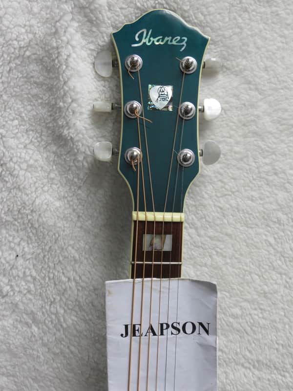 IBANEZ Paul Gilbert Acoustic PGA 1000 | Reverb