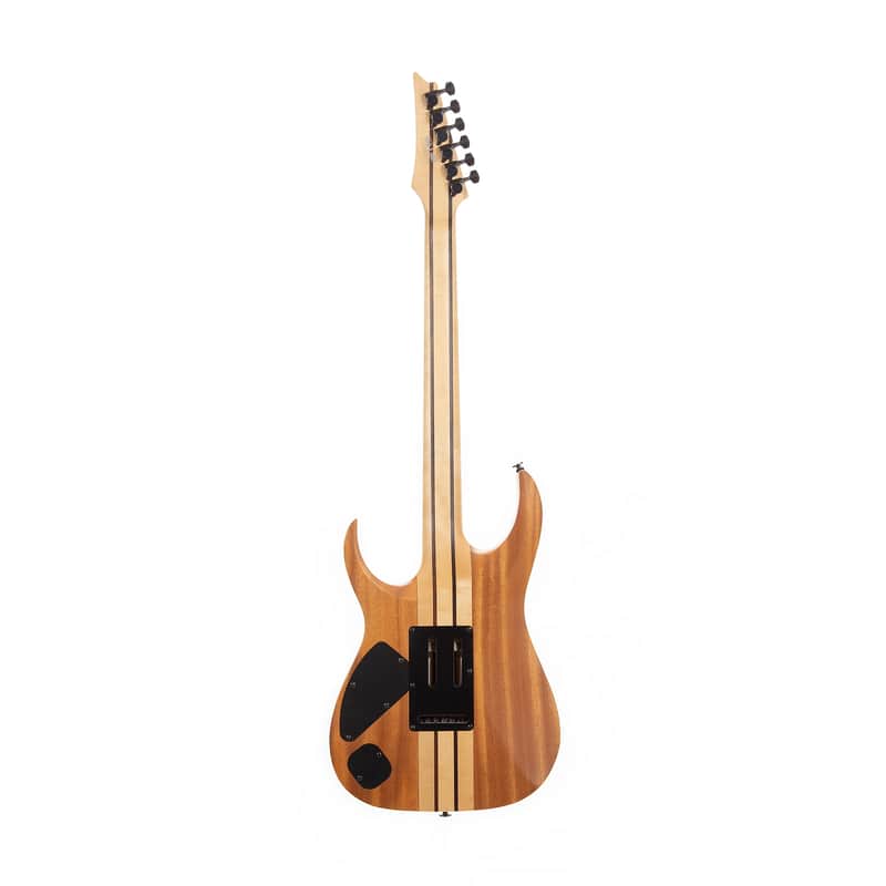 Ibanez RGT220H Prestige image 4
