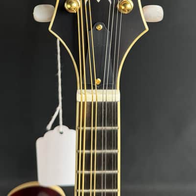 Gold Tone GM-80 Oval-Hole F-Style Mandolin Cherry Burst Satin w/ Pickup image 9