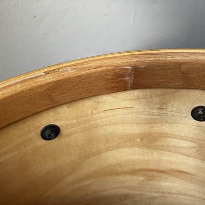 Premier Signia 14x14" Floortom - Cherry Wood image 19